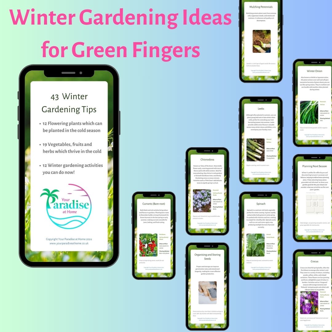 43 Winter Planting Flashcards