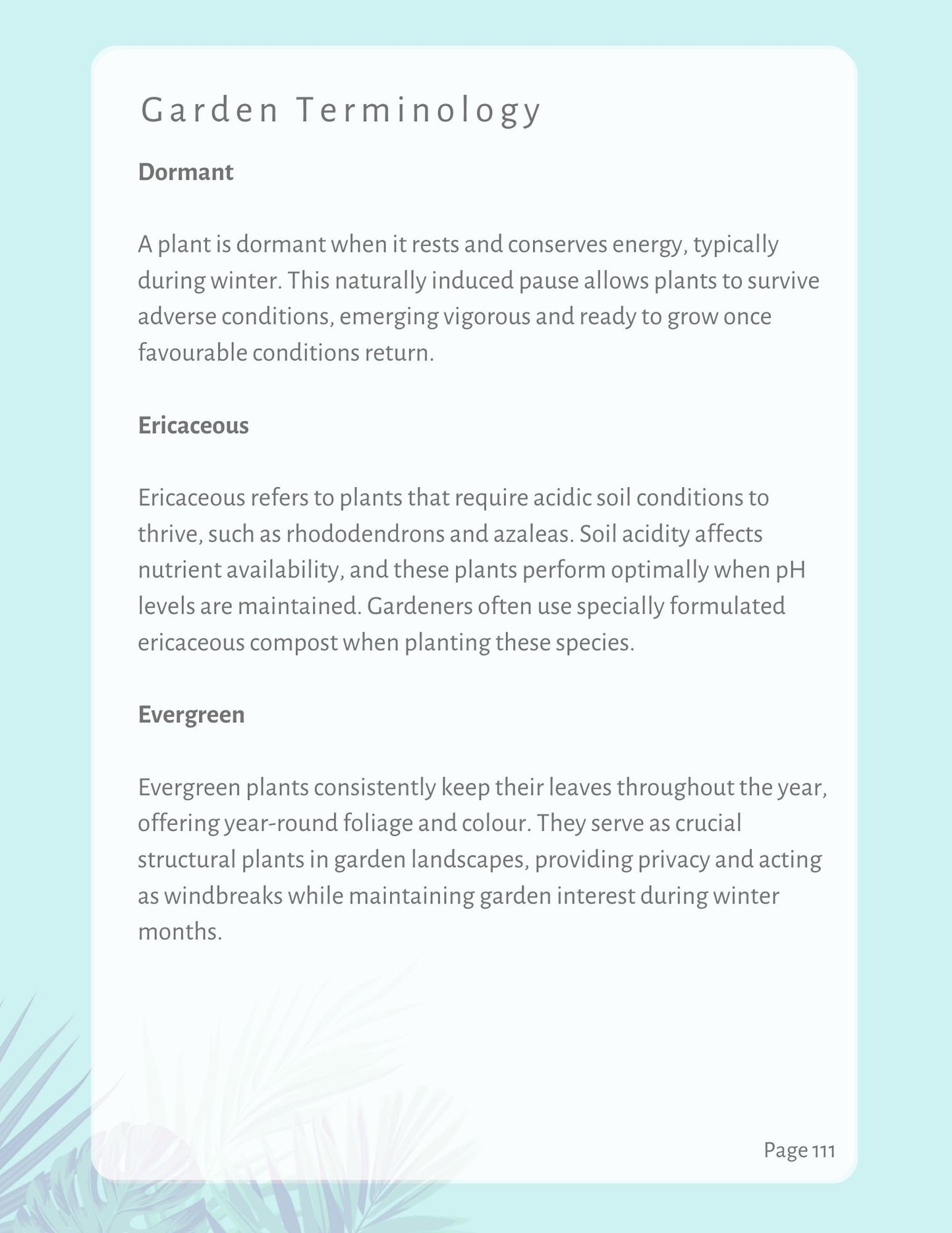 Spring Planting Design Guide