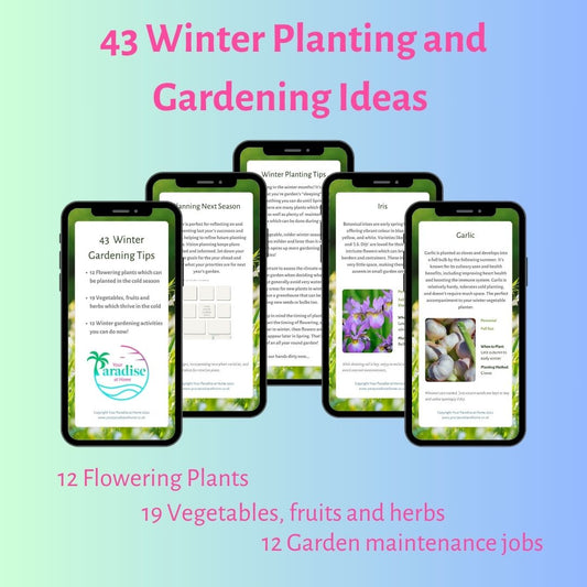 43 Winter Planting Flashcards