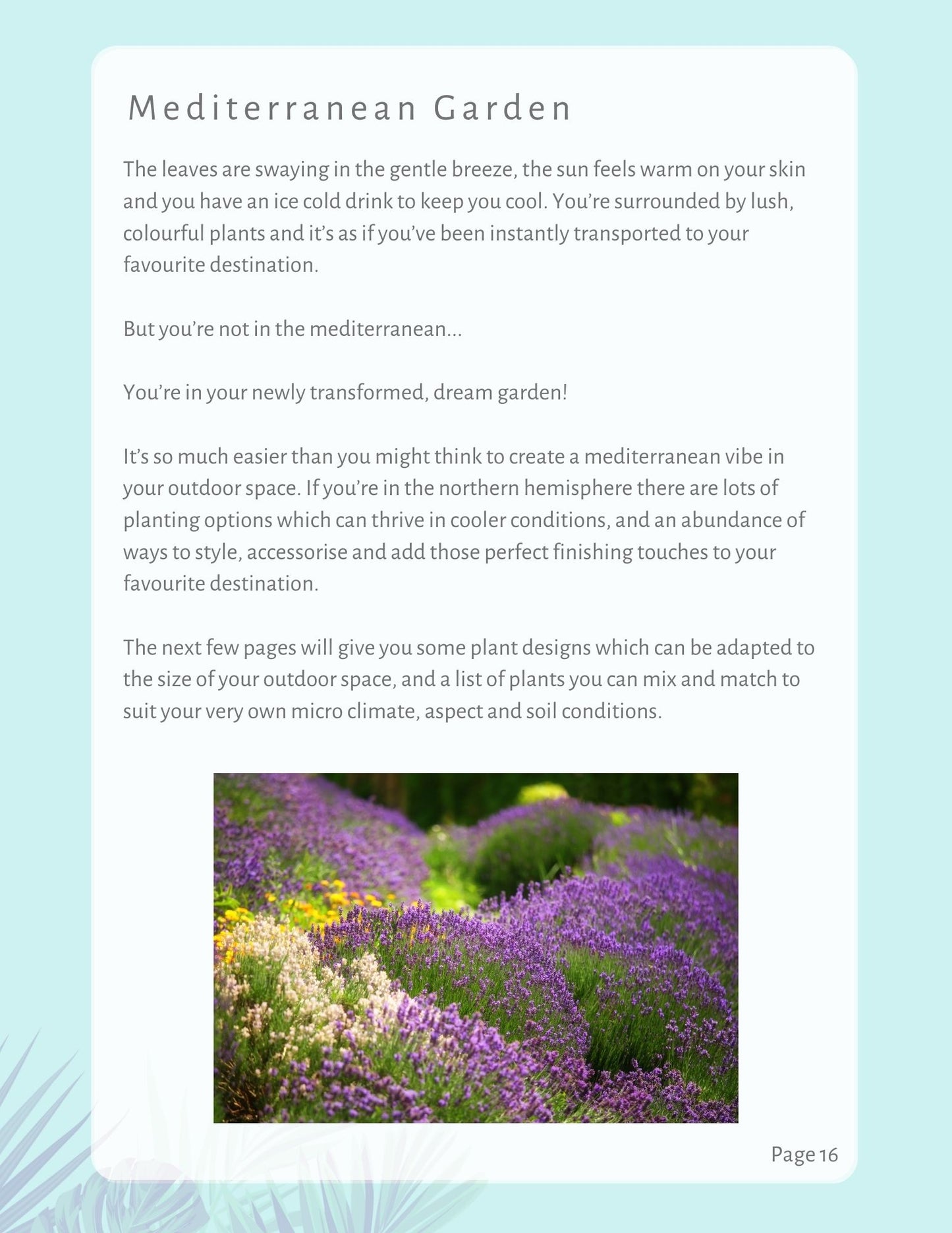 Spring Planting Design Guide