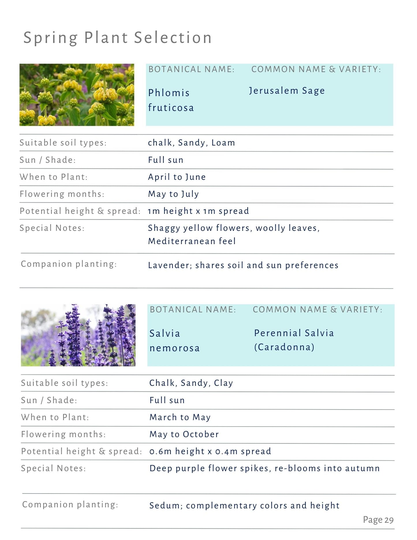 Spring Planting Design Guide