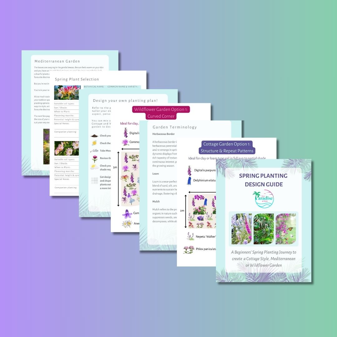 Spring Planting Design Guide