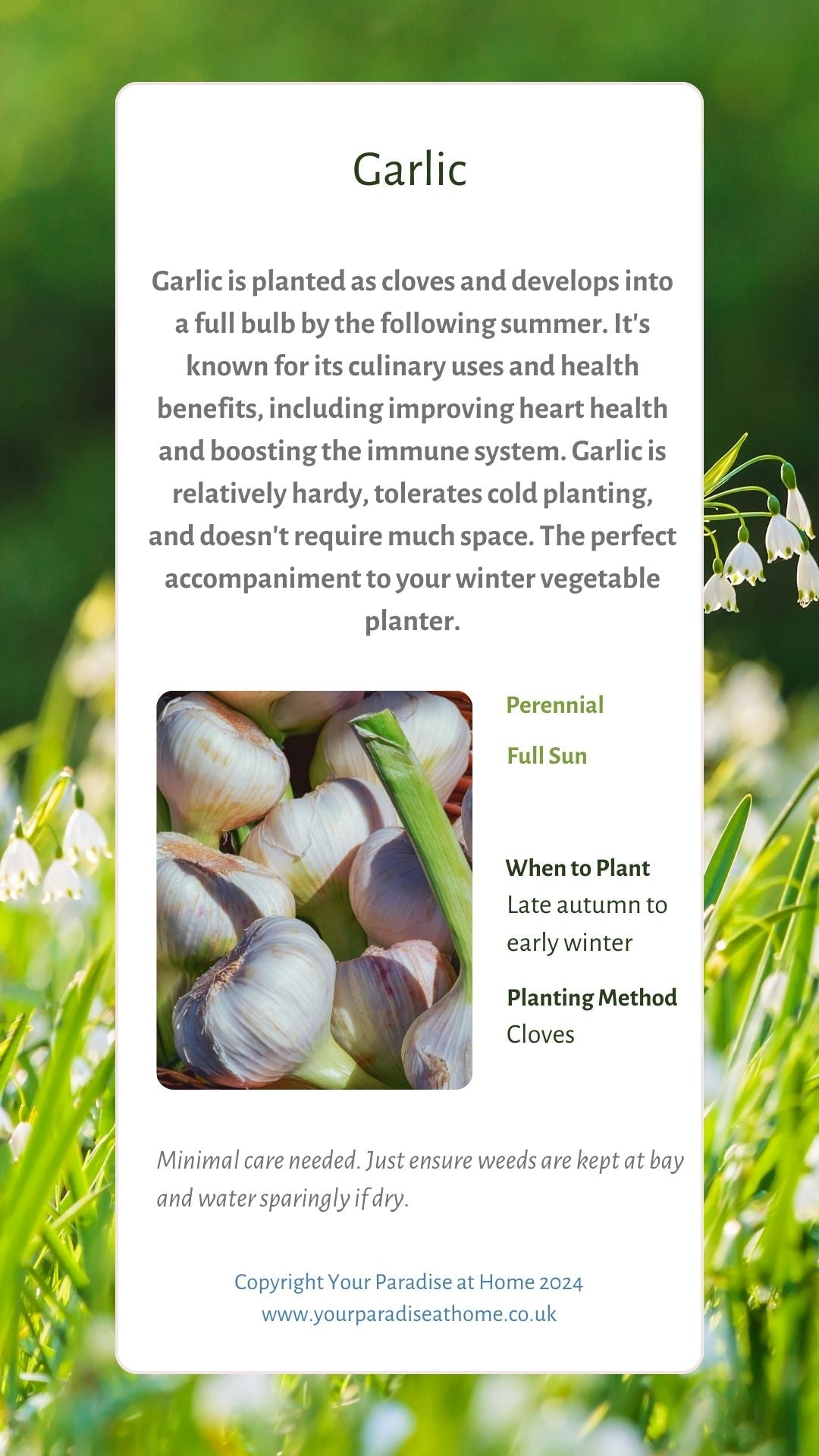 43 Winter Planting Flashcards